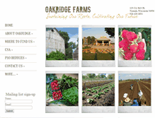 Tablet Screenshot of oakridgeberries.com